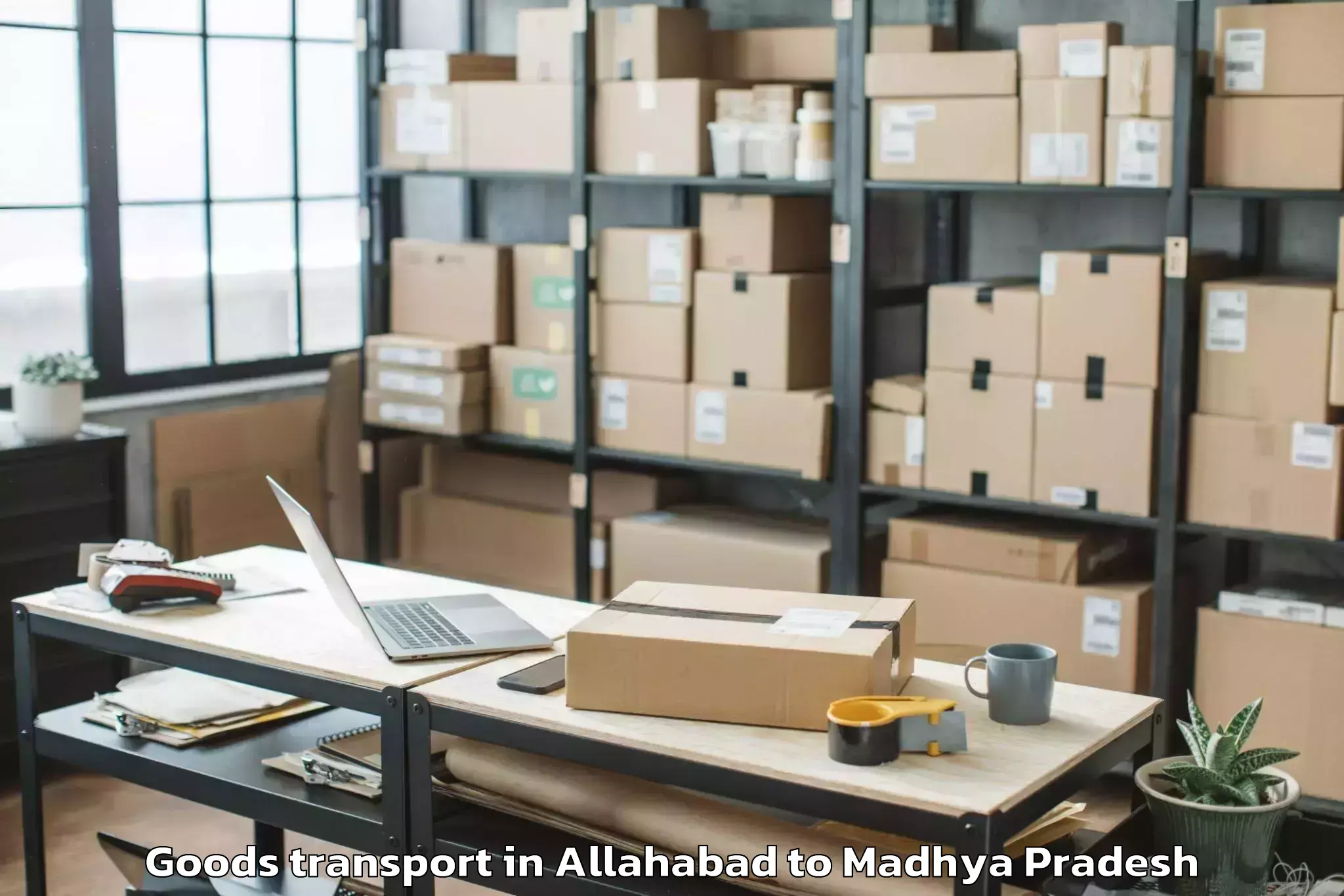 Professional Allahabad to Badod Goods Transport